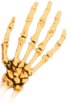 Arms